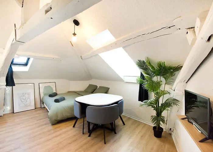 Le Cocon : Studio En Hypercentre Cathedrale