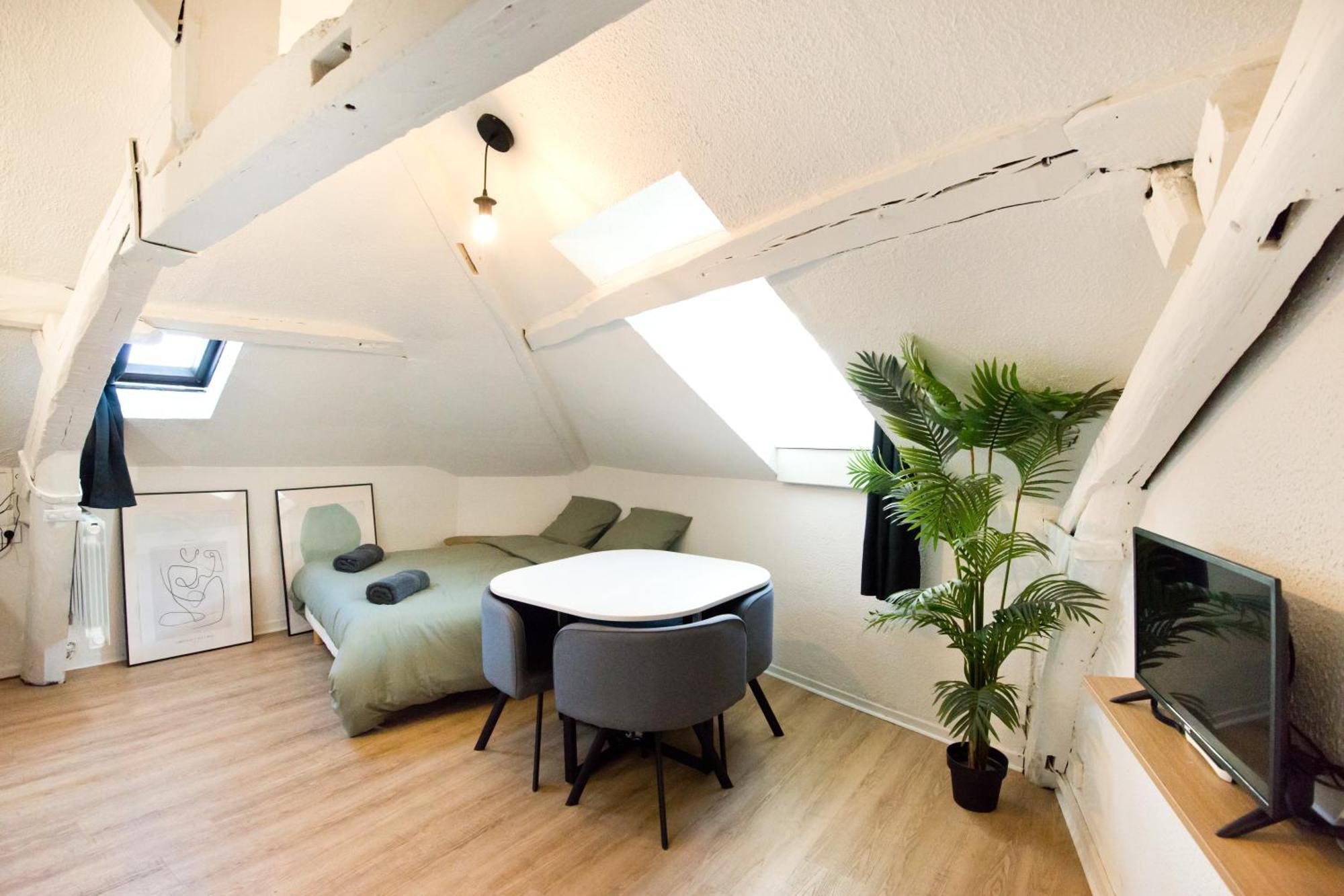 Le Cocon : En Hypercentre Cathedrale Apartment